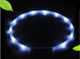 LED нашийник світлодіодний для котів з USB зарядкою 35-50 см Білий - зображення 1