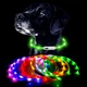 LED нашийник світлодіодний для котів з USB зарядкою 35-50 см Синій - зображення 4