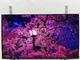 Телевізор 43 дюйми LG 43UR73006LA (4К Smart TV T2/S2 Bluetooth — W24-AU9059) Б/В - зображення 7