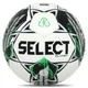 Мяч футбольный №5 SELECT PLANET FIFA BASIC V23 PLANET-WGR (белый-зеленый) - изображение 1