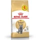 Сухий корм Royal Canin British Shorthair Adult для британських короткошерстих котів 8+2 кг - зображення 1