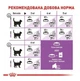 Сухой корм Royal Canin Sterilised для стерилизованных котов от 1 до 7 лет 9+1 кг - изображение 2