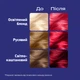 Фарба для волосся Schwarzkopf Live Ultra Brights 092 Pillar Box Red (9000101069099) - зображення 3