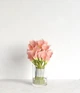 Пластиковый угловой 2D фотофон, PolyPlast 60x60 см - №62174 - изображение 2