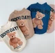 Свитер для собак Pet Style "Good Day" Белый L - изображение 4