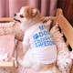 Футболка для котов и кошек Pet Style "My Dog" Белая XS - изображение 3