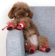 Обувь для собак Pet Style "Мех" Желтые 7 - изображение 2