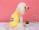 Майка для котов и кошек Pet Style "Губка боб" Желтая 2XL - изображение 1
