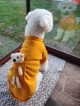Светр з ведмедем у кишені для котів Pet Style "Тедді" Жовтий XS - зображення 6