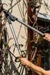 Секатор садовий Neo Tools 710 мм 0-45 мм 15-250 (5907558464832) - зображення 11