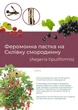 Феромонна пастка на склівку смородинну (пастка + феромон) - зображення 1
