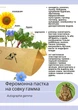 Феромонна пастка на совку гамма (пастка+ феромон) - зображення 1