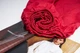 Простынь на резинке Moon&Star Cherry Red Бязь Gold Люкс 160х190х25 см (MS-850000113) - изображение 2