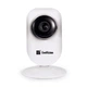 EvoVizion IP-mini-03 Беспроводная IP камера с WI-FI - изображение 1