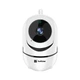 Бездротова IP камера з WI-FI EvoVizion IP-mini-11 - зображення 1