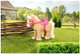 Кінь для ляльок Baby Born My Cute Horse 36 см (4001167831168) - зображення 2