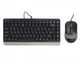 Комплект (клавіатура, мишка) A4Tech Fstyler F1110 Grey USB - изображение 1