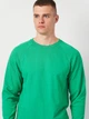 Свитшот мужской Fruit of the loom Lightweight 62138047 L Ярко-зеленый (5000000088799) - изображение 4