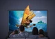 ALR екран для ультракороткофокусного проектора VividStorm S PRO, 100" (White) - зображення 10