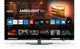 Телевізор Philips 55" 55PUS8919/12 - зображення 3