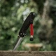 Темляк M-Tac Scandinavian ВОЛЯ Silver Black&Red - изображение 5
