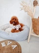 Лежак для собак лежанка для собак и кошек спальное место для животных съемный чехол с бортами 65х45х18 см Incor Серый (Donut1) - изображение 7