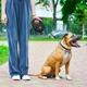 Повідець-рулетка для собак WAUDOG R-leash з контейнером для пакетів, світловідбиваюча стрічка, L, до 40 кг, 5 м, чорний - зображення 8