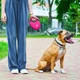 Повідець-рулетка для собак WAUDOG R-leash з контейнером для пакетів, світловідбиваюча стрічка, L, до 40 кг, 5 м, рожевий - зображення 8