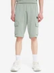 Шорти Kappa Authentic Flash 44-46 Фісташковий 127156KAP-63 - зображення 1