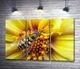 Модульная картина Хрупкая пчела опыляет солнечно-желтый цветок 60x40 см Модуль №2 (000008) - изображение 1