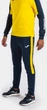 Спортивные штаны Joma ECO CHAMPIONSHIP темно-сине-желтые S 102752.339 - изображение 5