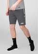 Тренировочные шорты Jako ALLROUND серые S 8589-820 - изображение 5