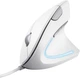Trust Миша Verto Ergonomic, USB-A, Білий - изображение 1