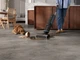 Electrolux Бездротовий пилосос EW81U3DB 800 Wet&Dry Cordless cleaner - изображение 4