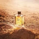Парфюмированная вода для мужчин Hermes Terre D'Hermes Eau Intense Vetiver 100 мл (3346131431434/3346131430741) - изображение 4