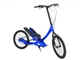 Степвинг Brizon Stepwing Titan 20" Blue - изображение 3