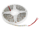 Светодиодная лента 1 м MTK SMD5050 60 LED 12В IP65 холодный белый (MTK-300W-F-5050-12) - изображение 1