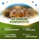 Добавка преміум-класу із 7 лікарських грибів LABO Nutrition Bioactive Organic Agaricus Ultra 90 капсул - зображення 6