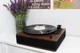 Вініловий програвач Fenton TT Classic Simple Wood з Bluetooth з колонками, грамофон для вінілових дисків (без кришки) - зображення 4