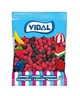 Желейні цукерки Vidal Ожина 1 кг - изображение 1