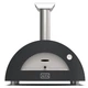 Печь для пиццы Alfa MODERNO 2 Pizze Wood - изображение 1