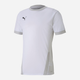 T-shirt chłopięcy sportowy Puma teamGOAL 23 70416004 164 cm Biały (4062451204013) - obraz 1