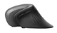 Мышь беспроводная Trust Verro Ergonomic Wireless Mouse (23507) - изображение 4