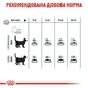 Сухий корм для котів Royal Canin Hairball Care 400 г (3182550721394) (2534004) - зображення 7