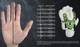Перчатки вратарские Select Goalkeeper Gloves 34 Protection v24 5 (606) Оранжево-белые (5703543349098) - изображение 7