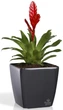 Вазон Plastkon Quadrato Flower Lover 25x25x24 см Антрацит (4820002386584) - изображение 3