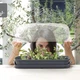 Мини теплица Respana Table Greenhouse серая 92558, мини парник для рассады - изображение 2