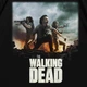 Футболка с принтом Ходячие мертвецы The Walking Dead M Черный Ф Філ060-Ч M - изображение 2