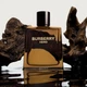 Парфюмированная вода для мужчин Burberry Hero 50 мл (3614228838030) - изображение 3