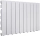 Радиатор алюминиевый FONDITAL Blitz80 B2 500/80 RAL9010 10-ти секционный - изображение 4